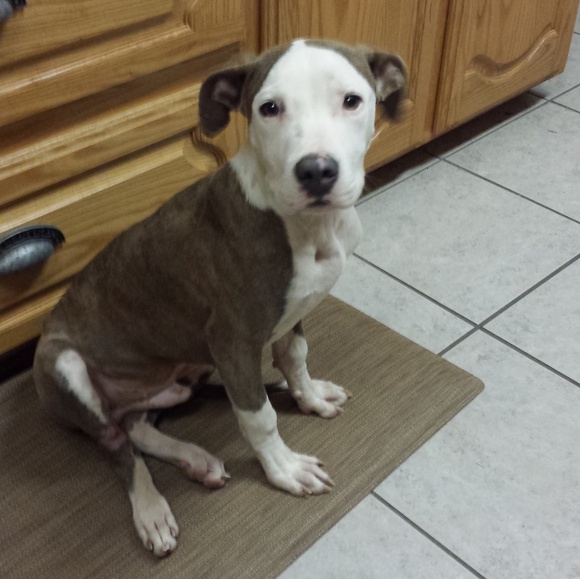 Meet your Posher, Joyce - Picture 6 of 7